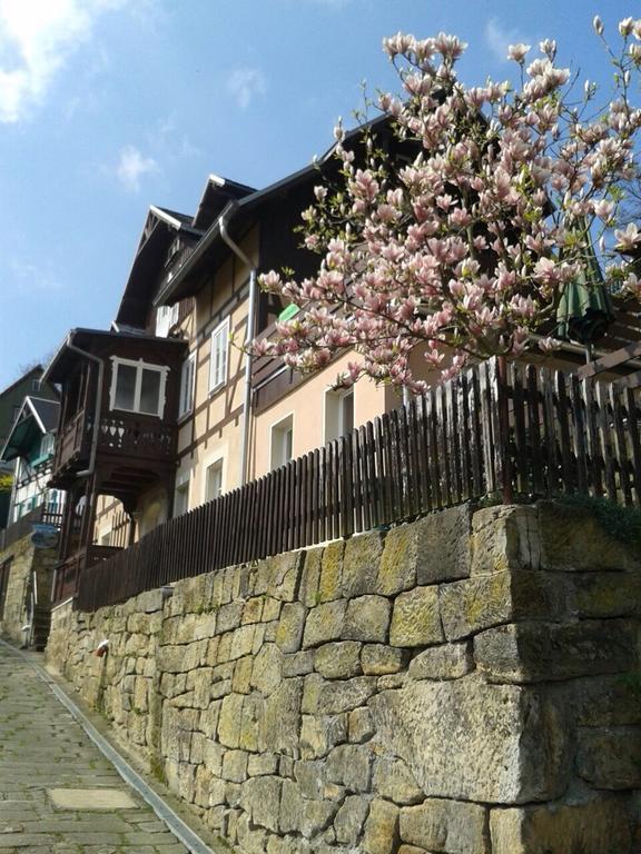 Wehlener Landhaus In Stadt Wehlen, Saechsische Schweiz Exterior foto
